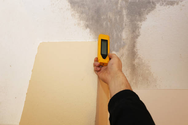 Best Commercial Mold Inspection  in Salisbury, NC