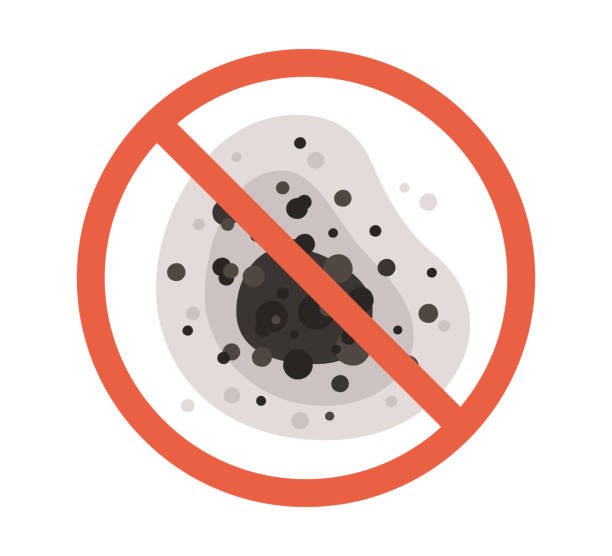 Best Indoor Air Quality Assessment  in Salisbury, NC