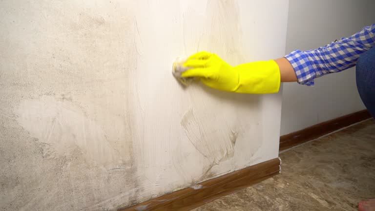 Mold Odor Removal Services in Salisbury, NC