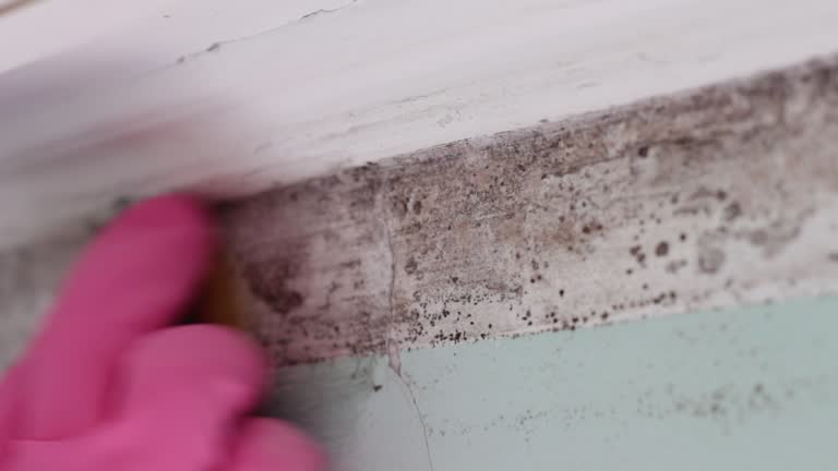 Best Residential Mold Inspection & Testing  in Salisbury, NC